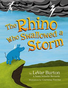 Rhino Who Swallowed a Storm